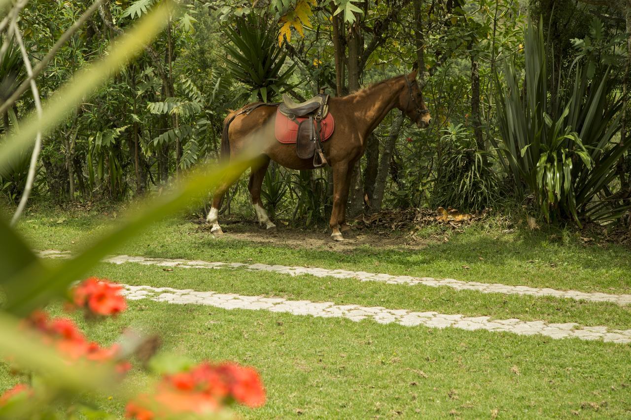 Estancia De La Campina Hotel Nono Exterior photo